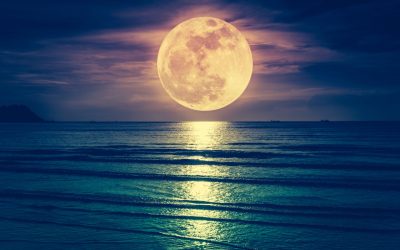 The Mystical Connection Between Parasite Cleansing and the Full Moon